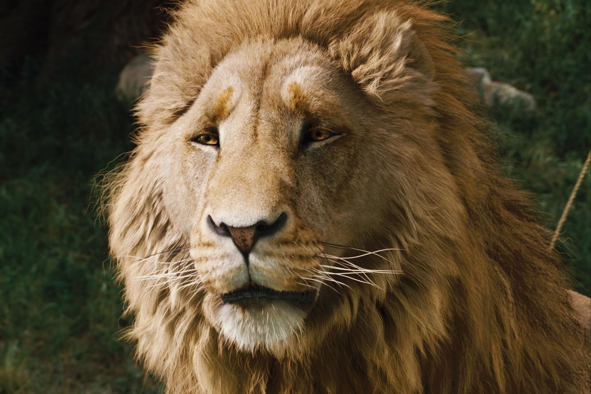 Netflix’s Narnia: The Magician’s Nephew delayed to 2027 Netflix’s Narnia: The Magician’s Nephew delayed to 2027