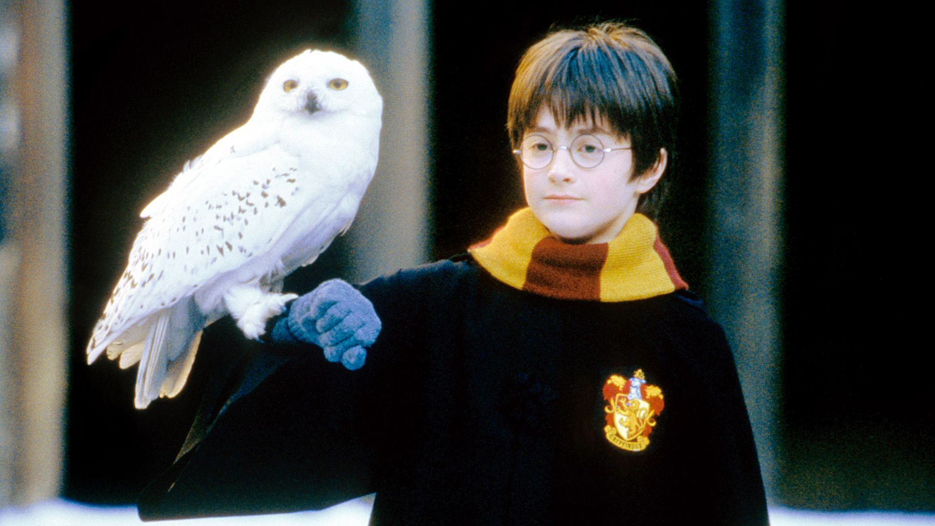 Harry Potter Officially Returns With New Adventure On July 29