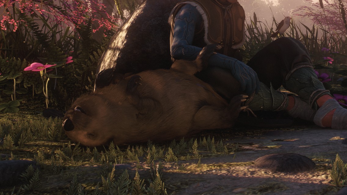 Soulframe beaver ‘will be okay’ after high-stakes gameplay reveal, devs confirm Soulframe beaver ‘will be okay’ after high-stakes gameplay reveal, devs confirm